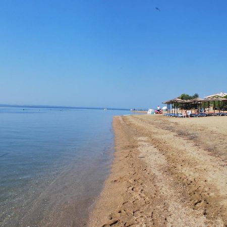 Captain'S Villa Appartments Psakoudia Dış mekan fotoğraf
