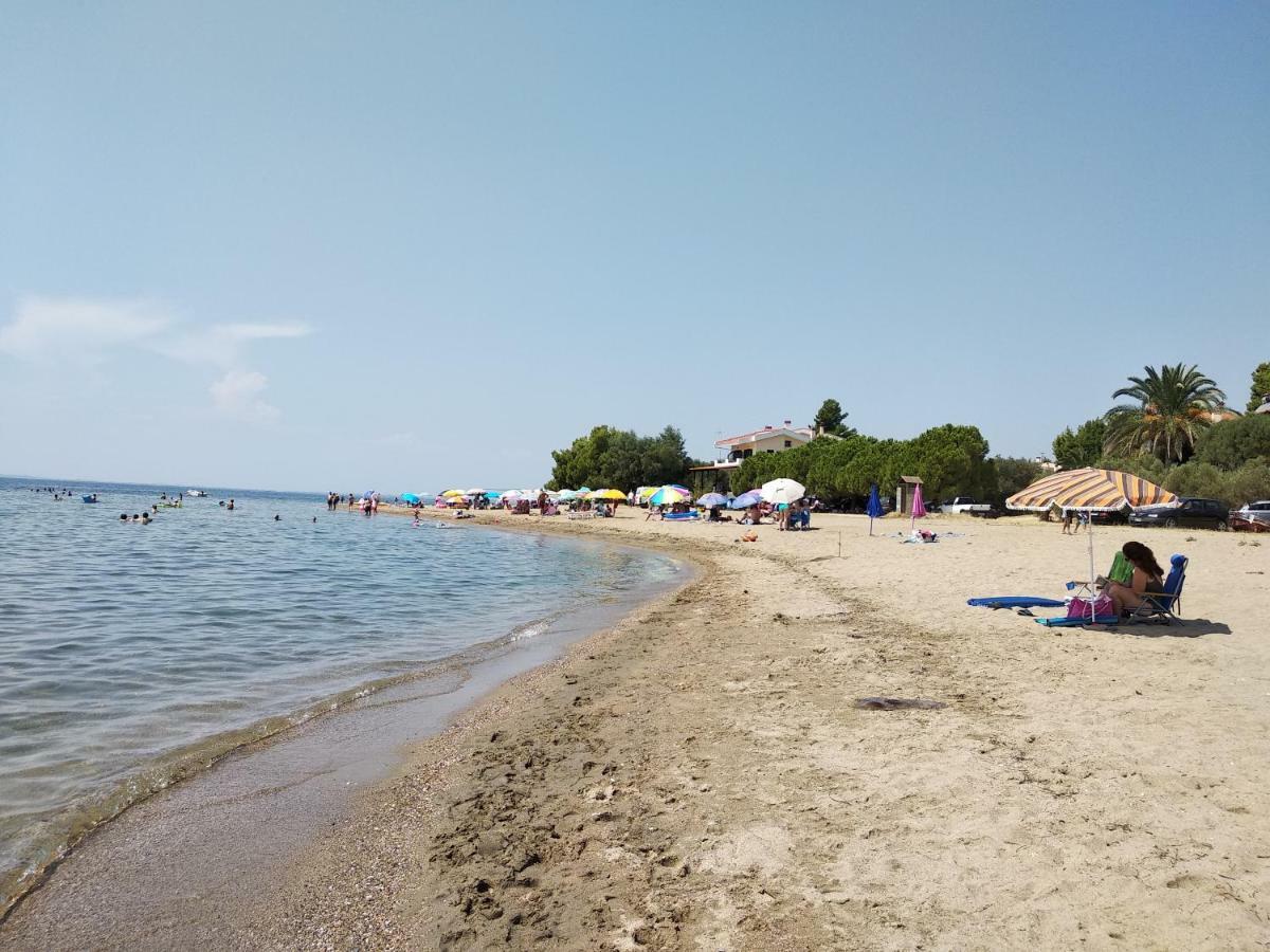 Captain'S Villa Appartments Psakoudia Dış mekan fotoğraf