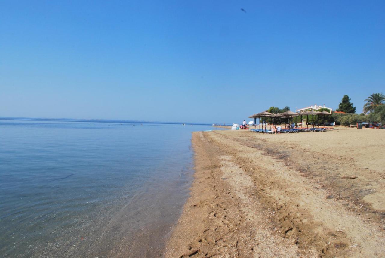 Captain'S Villa Appartments Psakoudia Dış mekan fotoğraf