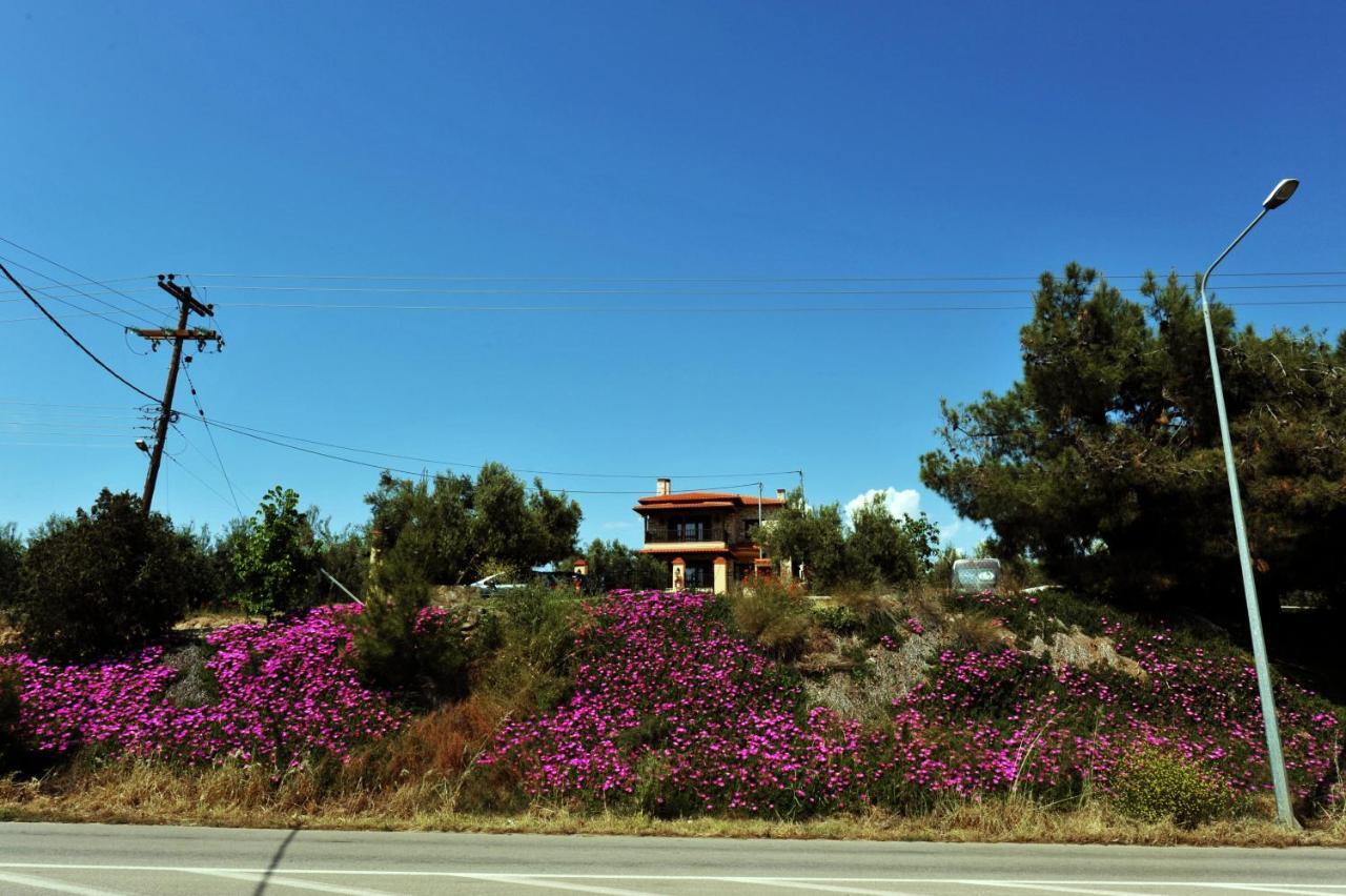 Captain'S Villa Appartments Psakoudia Dış mekan fotoğraf
